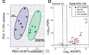 Science I<font color='red'>mmunology</font>兩篇重要論文：解決癌癥免疫領域長期面臨的挑戰