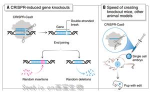 《科學(xué)》：諾獎(jiǎng)得主解讀 CRISPR 的十年