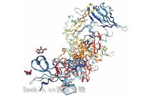 解碼微生物<font color='red'>腸道</font>信號的研究為IBD提供了潛在的新治療方法