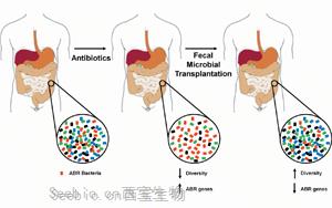 科學家們發現了可以減少<font color='red'>抗生素</font>對腸道細菌有害副作用的化合物