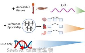 Nature Genetics：人類(lèi)組織的異常剪接預(yù)測(cè)