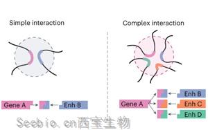 Nature Methods：研究復(fù)雜<font color='red'>基因</font>組相互作用