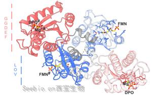 Science子刊：酶的開關