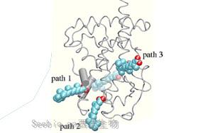 《Immunity》控制T細(xì)胞活性