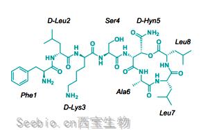 突破！可殺死耐藥菌的新型抗生素