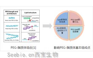 聚乙二醇-脂質(zhì)（<font color='red'>PEG-lipid</font>）結構與性質(zhì)