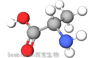 一個(gè)與<font color='red'>血糖</font>和睡眠有關(guān)的重要氨基酸