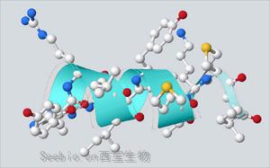 “繁花”盛開，細數多肽藥物的星辰大海