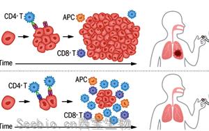 Science：免疫系統的遺傳變異參與了肺癌的免疫監視