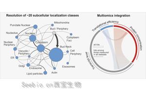 Cell：首次在整個細胞周期中跟蹤生物體的所有蛋白質