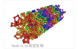 為什么減掉100斤，臉會“垮掉”？聊聊膠原蛋白的“神奇”功效