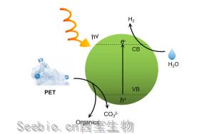 一種革命性的方法：PET<font color='red'>塑料</font>升級回收的突破性創新