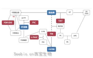 新血栓4項標志物原料助力凝血診斷