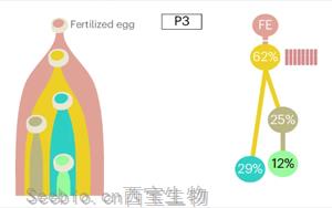 Nature Biotechnology：精確測量癌癥的進化，定義分析腫瘤基因組成的最佳算法