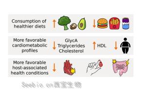 Cell：打破認(rèn)知！這種<font color='red'>腸道</font>生物不僅對人體無害，而且有助于健康