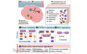 Cancer Cell：多組學(xué)分析揭示膠質(zhì)瘤的共同特征