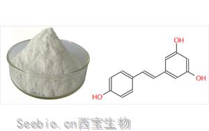 白藜蘆醇功效及應(yīng)用場(chǎng)景