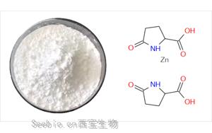 肌膚守護者吡咯烷酮羧酸鋅：保濕、控油、抗痘三合一