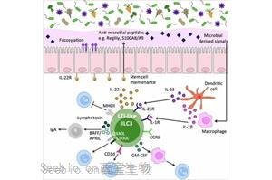 Nature顛覆傳統的觀點：狼瘡腎損傷的驚人機制