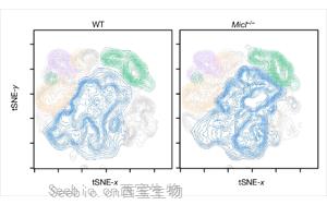 Nature打開了新的大門：一種免疫細(xì)胞調(diào)節(jié)因子可以<font color='red'>減少炎癥</font>