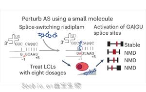 Nature Genetics：驚奇地發現選擇性剪接比蛋白質多樣性更能影響基因表達？