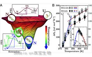 PNAS提出新視角：低溫下RNA的<font color='red'>新生物</font>化學