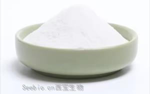 巖藻多糖（Fucoidan CAS：9072-19-9）多維生物活性：對抗腫瘤、激活免疫、改善代謝