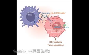 Cancer Cell發現了一些<font color='red'>癌癥</font>對免疫治療沒有反應的關鍵原因：代謝機制阻礙免疫反應