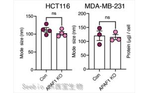 Nature Cancer：腫瘤細胞分泌的EV-DNA作為一種“危險”信號，促進抗轉移性免疫反應