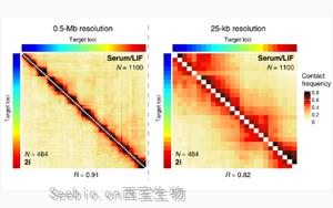 Science子刊：距離較遠(yuǎn)的DNA區(qū)域之間的近距離接觸會(huì)引起<font color='red'>基因</font>活動(dòng)的爆發(fā)！