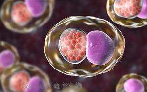 Cell：微生物組的變化預測性傳播疾病的風險