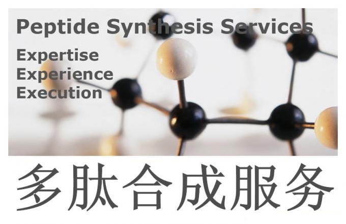 多肽合成|多肽修飾|多肽定制|西寶生物-提供專業(yè)、全面的多肽合成