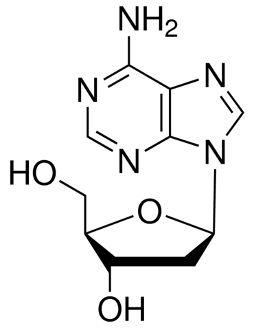 2'-脫氧腺苷