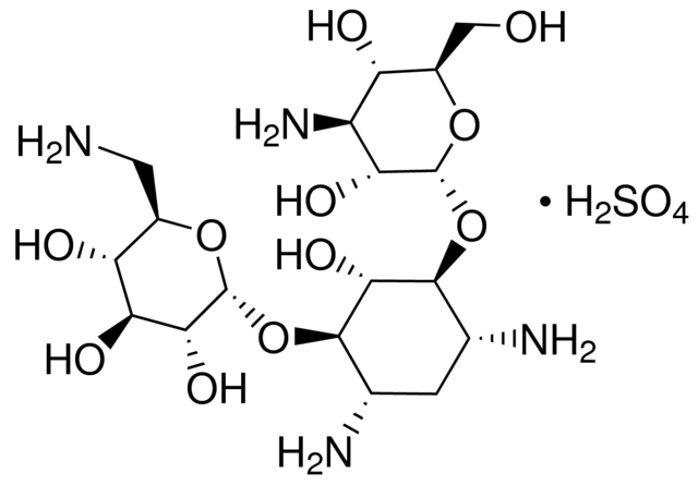 硫酸卡那霉素