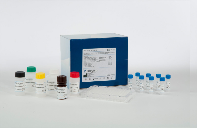 Rat NGAL ELISA Kit, 大鼠NGAL酶聯免疫試劑盒