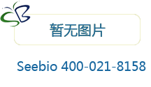 牛血清蛋白 (7%溶液) 標準物質