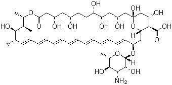 兩性霉素B|1397-89-3|Amphotericin B