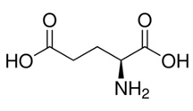 L-谷氨酸