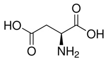 L-天冬氨酸