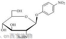 對硝基苯-N-乙酰-β-D-氨基葡萄糖苷