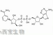 硫代輔酶I