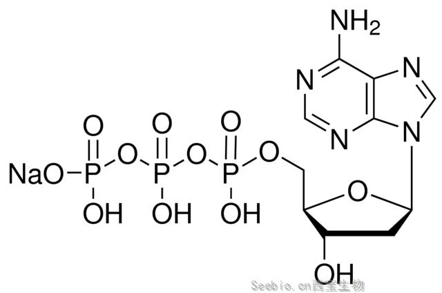 2’-脫氧腺嘌呤-5’-三磷酸