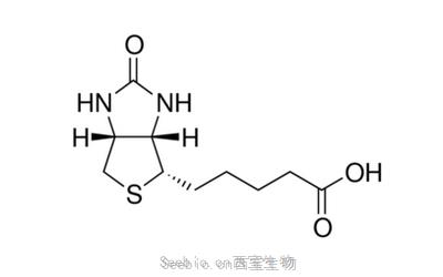 D-生物素 D-Biotin