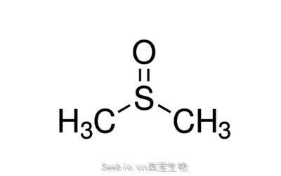 二甲基亞砜