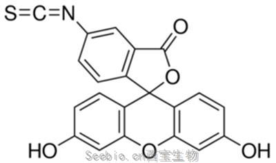 異硫氰酸熒光素酯, 5-FITC 5-Isothiocyanato fluorescein, CAS號 3326-32-7