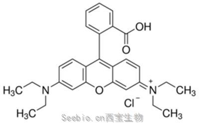 羅丹明B, 玫瑰紅B