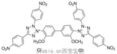 四硝基四氮唑藍(lán); 硝基四唑蘭