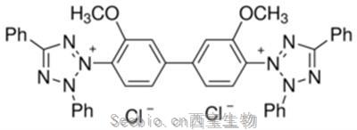 藍(lán)四氮唑, Tetrazolium Blue Chloride, 1871-22-3