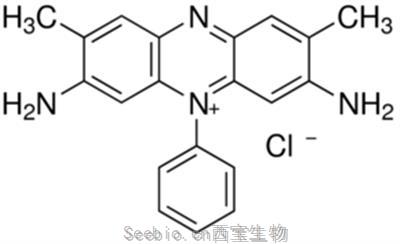 藏花紅T 堿性紅 2